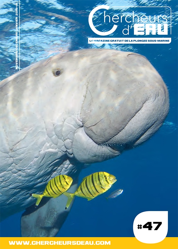 n47 magazine plongée Chercheurs d'eau