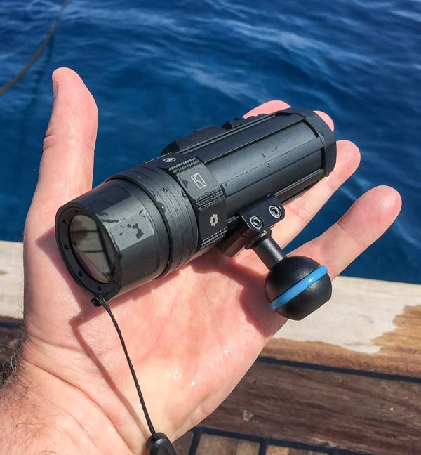 accessoire vaquita