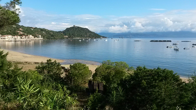 plage de campomoro en corse