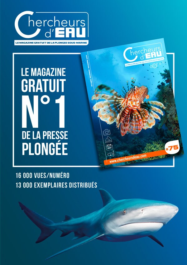 Magasine N°1 gratuit de la presse plongés