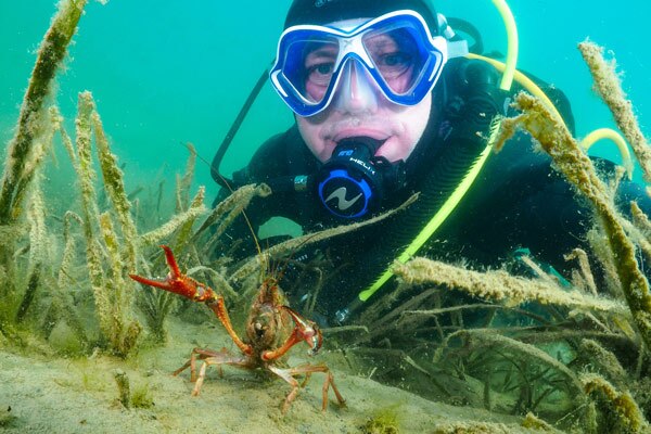 plongeur dans lac