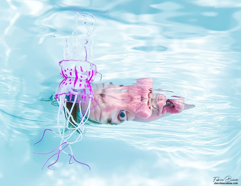 photo meduse silicone