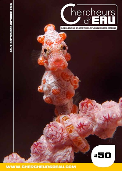 n50 magazine plongée Chercheurs d'eau