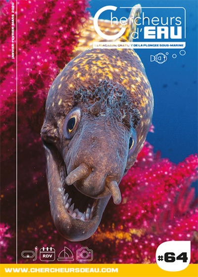n64 magazine plongée Chercheurs d'eau