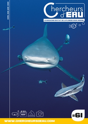 n61 magazine plongée Chercheurs d'eau