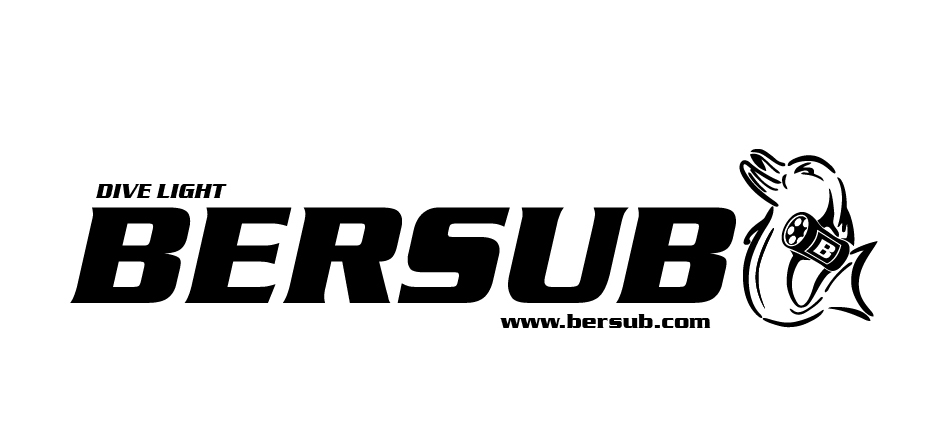 logo bersub