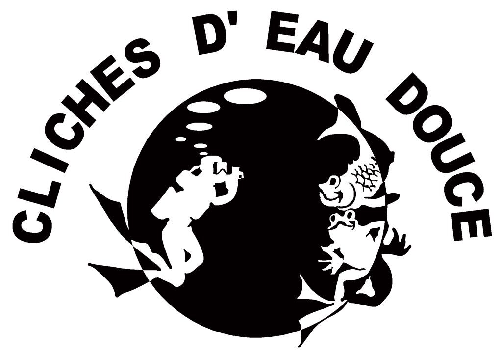 Vidéastes plongeurs en action