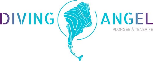 logo diving angel