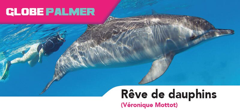 rêve de dauphin
