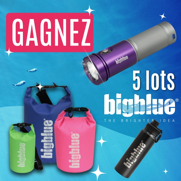 gangnez des lots bigblue