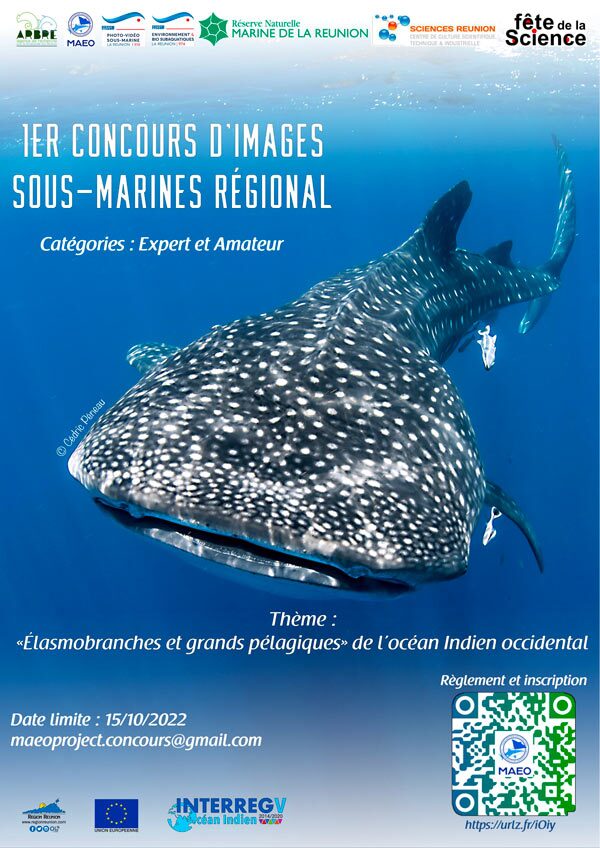 concours photo sous-marine septembre 2022