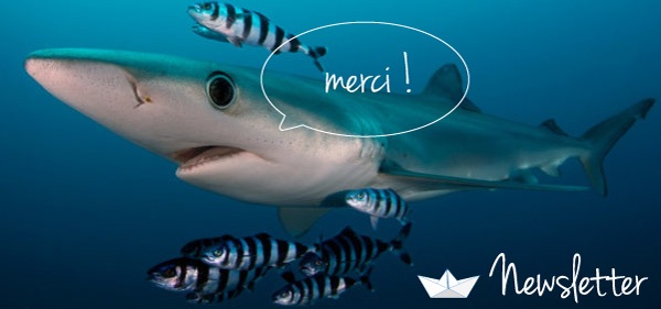 merci_abonnement newsletter chercheursdeau