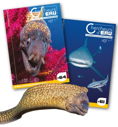 le magazine chercheurs d'eau