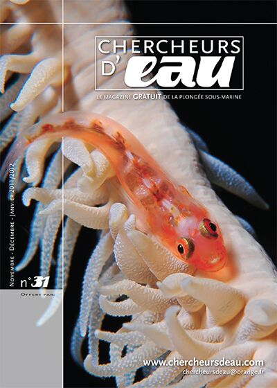 n31 magazine plongée Chercheurs d'eau