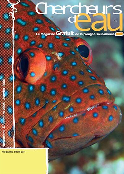 magazine plongée chercheurs d eau n7 merou