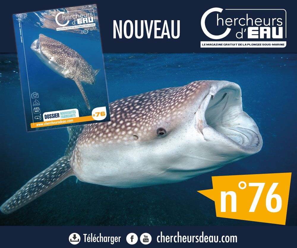 chercheursdeau requin baleine n76