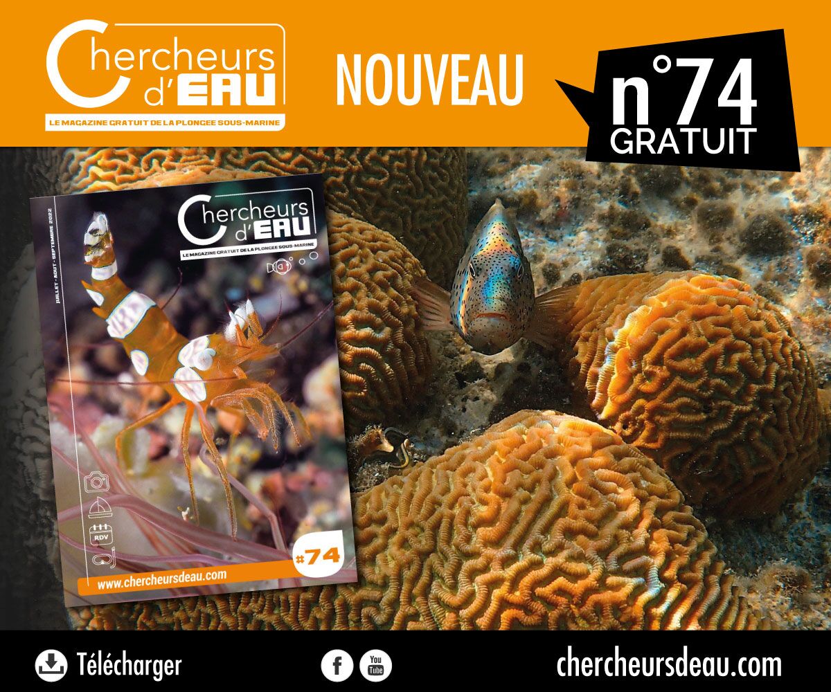 Chercheursdeau n74