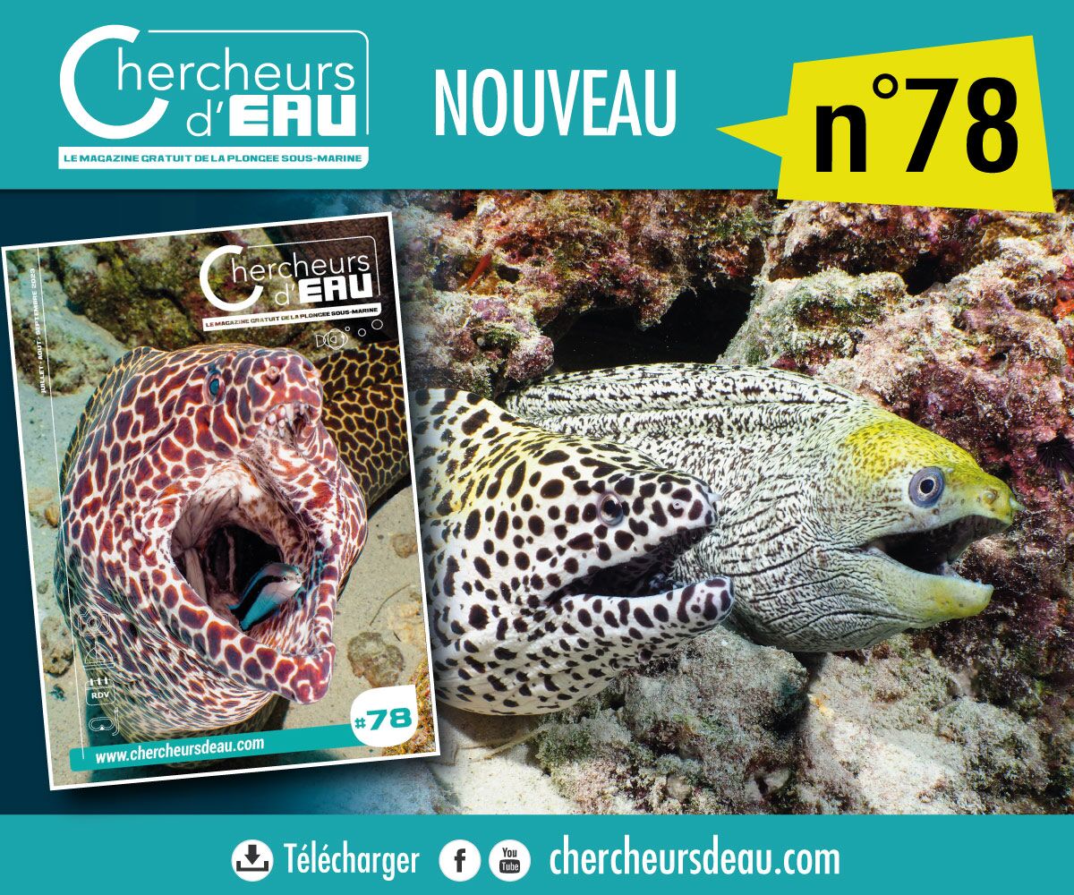 Chercheurs d'eau magazine plongée sous-marine n78