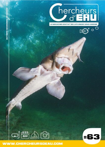 n63 magazine plongée Chercheurs d'eau