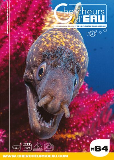 n64 magazine plongée Chercheurs d'eau