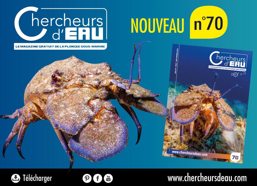 plongée sous-marine n70 de chercheurs d'eau