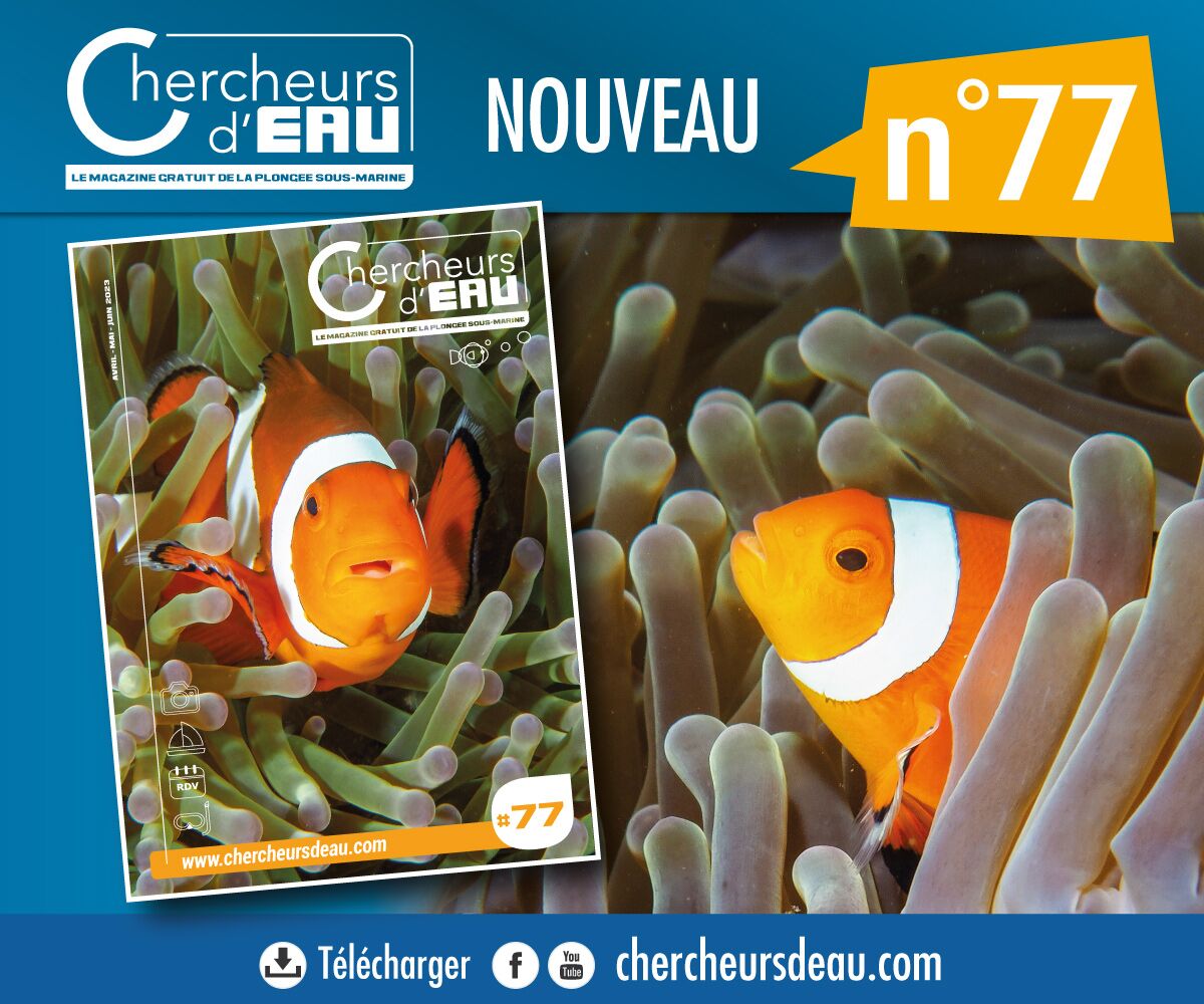 Cherchuers d'eau n77