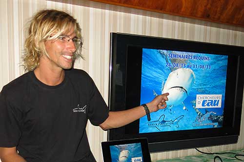 Interagir avec les requins