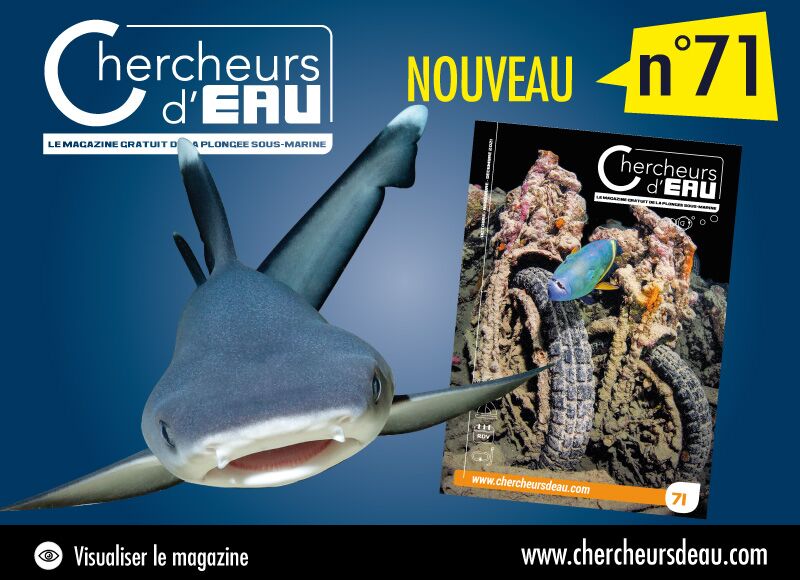 sortie du n 71 magazine plongée sous-marine