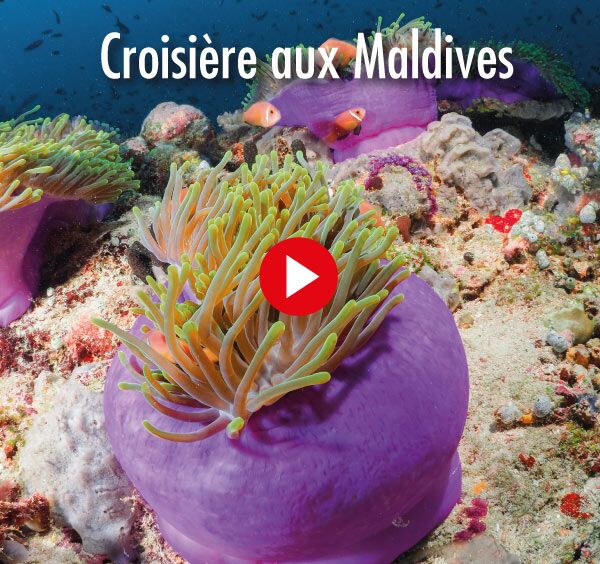 Croisière aux maldives